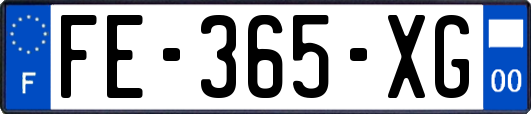 FE-365-XG
