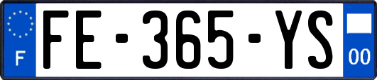 FE-365-YS