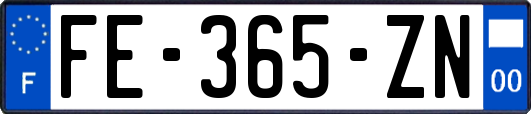 FE-365-ZN