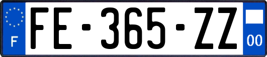 FE-365-ZZ