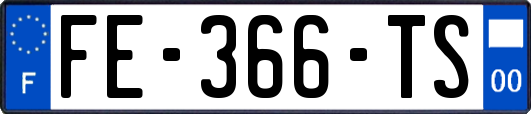 FE-366-TS