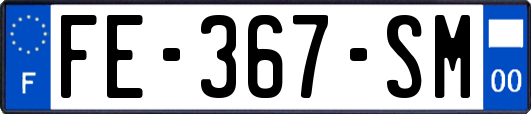 FE-367-SM