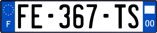 FE-367-TS