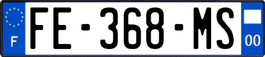 FE-368-MS