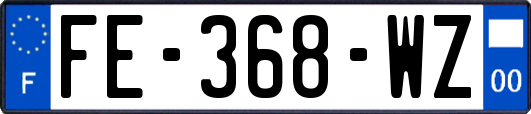 FE-368-WZ