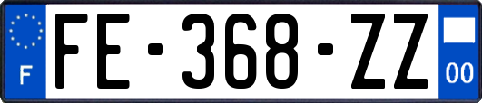 FE-368-ZZ