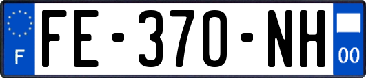 FE-370-NH