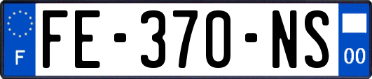 FE-370-NS