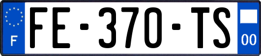 FE-370-TS