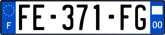 FE-371-FG
