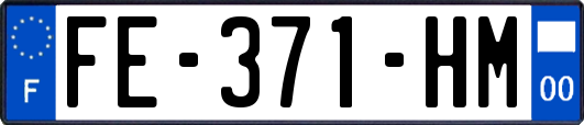 FE-371-HM