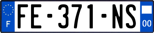 FE-371-NS