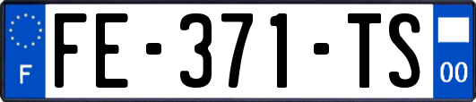 FE-371-TS