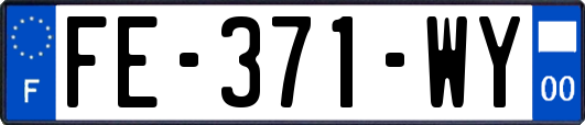 FE-371-WY