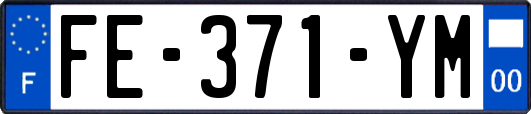 FE-371-YM
