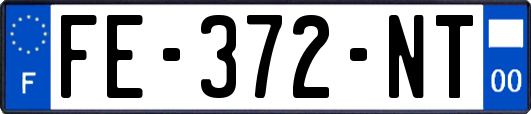 FE-372-NT