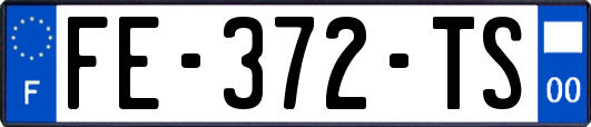 FE-372-TS