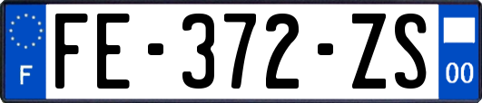 FE-372-ZS