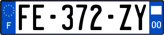 FE-372-ZY