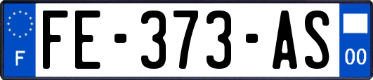 FE-373-AS