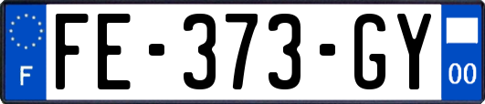 FE-373-GY