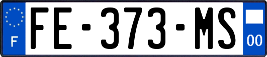 FE-373-MS
