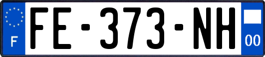 FE-373-NH