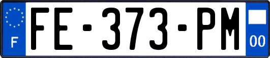 FE-373-PM