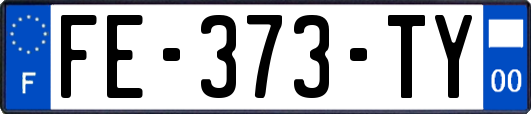 FE-373-TY