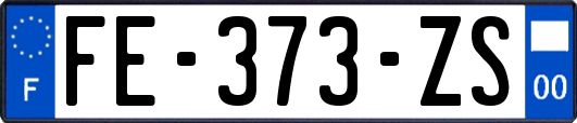 FE-373-ZS