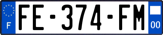FE-374-FM