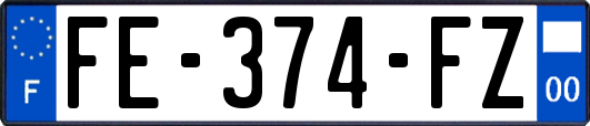 FE-374-FZ