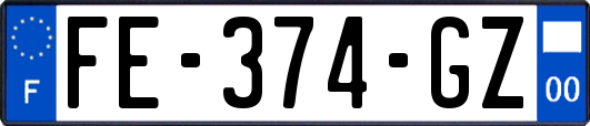 FE-374-GZ