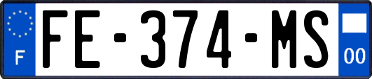 FE-374-MS