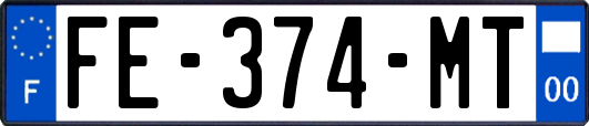 FE-374-MT