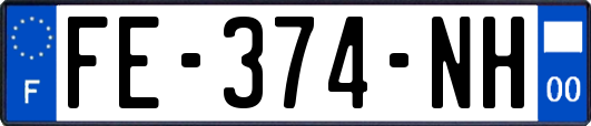 FE-374-NH