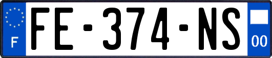 FE-374-NS