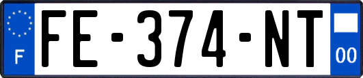 FE-374-NT