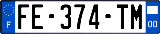 FE-374-TM