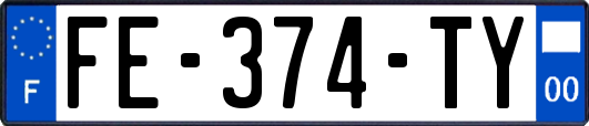 FE-374-TY