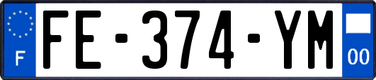 FE-374-YM