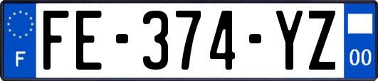 FE-374-YZ