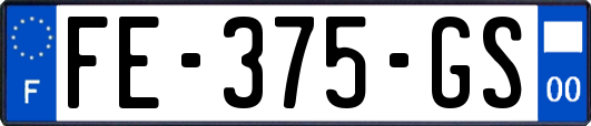 FE-375-GS