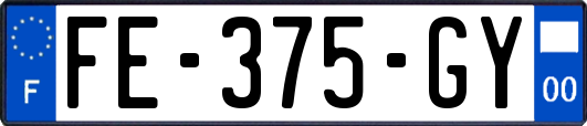 FE-375-GY
