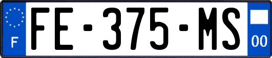 FE-375-MS