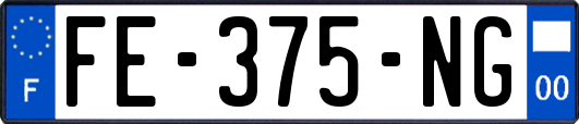 FE-375-NG
