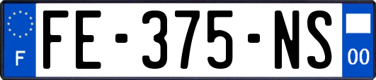 FE-375-NS