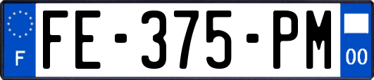 FE-375-PM