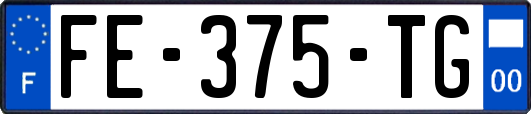 FE-375-TG