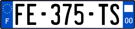 FE-375-TS